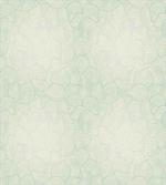 Jumbled Moire Composition