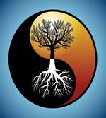 Abstract Tree and Root
