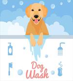 Dog Wash Bath