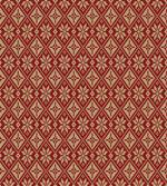 Bicolor Winter Design artwork