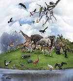 Tropic Animal Collage artwork