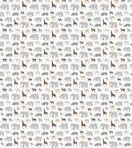 Cartoon Fauna