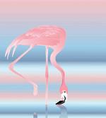 Birds in Love Lake