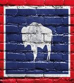 State Flag Paint on Bricks