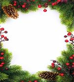 Xmas Frame Pine Cones