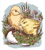 Newborn Animal Flora