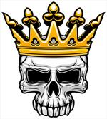 Skull Cranium with Coronet