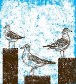 Grungy Sketch Seagulls