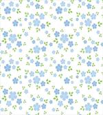 Small Wild Flowers Blue