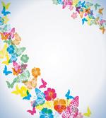 Colorful Butterfly Borders