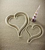 Hearts and Sink Seashell Sand