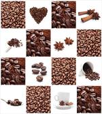 Roasted Coffee Beans