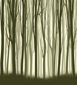 Mother Nature Forest