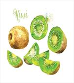 Exotic Vegan Kiwi Pattern