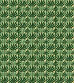 Windmill Palm Trees
