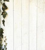 Pastel Retro Foliage