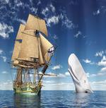 Pirate Ship and Mammal Fish