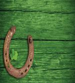 Rusty Horseshoe Shamrock