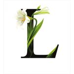 ABC Concept Lily and L
