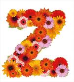 Flower Themed Z artwork
