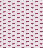 Domestic Swine Pig Sketch