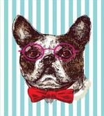 Pop Art Bulldog Sketch