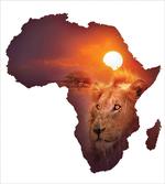 Lion and African Map Sunset