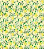 Blooming Lemon Flowers