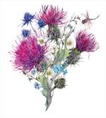 Summer Meadow Herbs