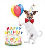 Dance Party Dog Cake