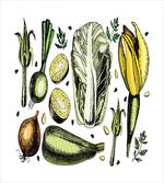 Vegan Diet Theme
