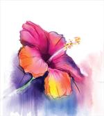 Hibiscus Flower Pastel artwork