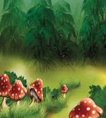 Wild Magic Wonderland