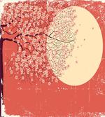 Cherry Sakura Blossoms