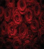 Drops of Blooming Bouquet