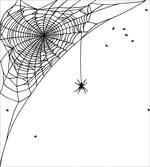 Corner Net Bug Flies