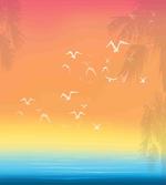 Seagull Palm Trees Sun