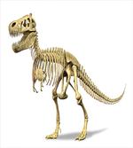 Primeval Dead Creature