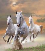 Mystical Sky artwork