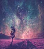 Lonely Tree View
