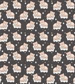 Bears Sleeping on Clouds