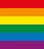 Gay Parade Flag Freedom