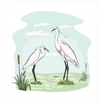 2 Herons in Marsh Cartoon