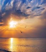 Early Morning Sunrise
