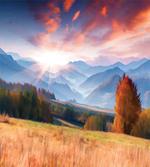 Colorful Fall Scene