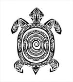 Turtle Spirals