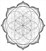Flower of Life Middle East