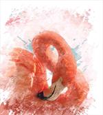 Exotic Bird Watercolor
