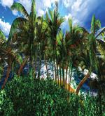 Hawaii Island Palm Tree artwork