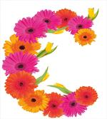 Vivid Floral Bouquet